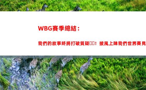 WBG賽季總結：我們的故事終將打破質疑！披風上陣我們世界賽見！